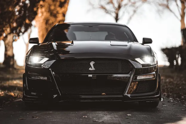 Pure Kaszinó Android/iOS Alkalmazás